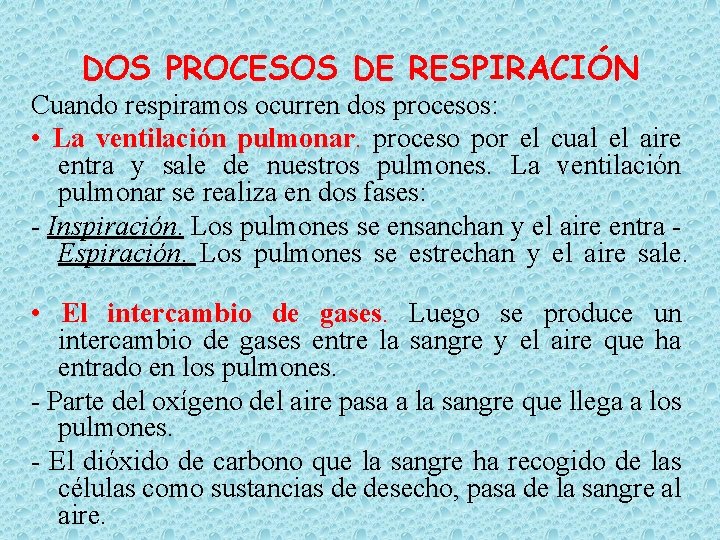 DOS PROCESOS DE RESPIRACIÓN Cuando respiramos ocurren dos procesos: • La ventilación pulmonar. proceso