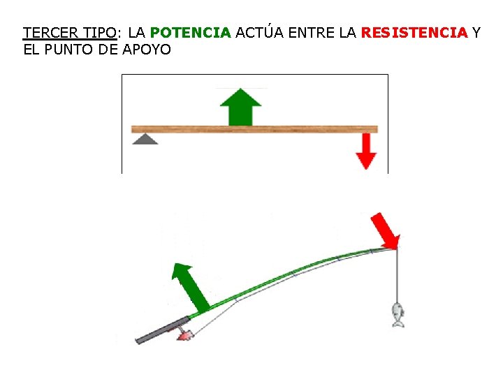 TERCER TIPO: LA POTENCIA ACTÚA ENTRE LA RESISTENCIA Y EL PUNTO DE APOYO 