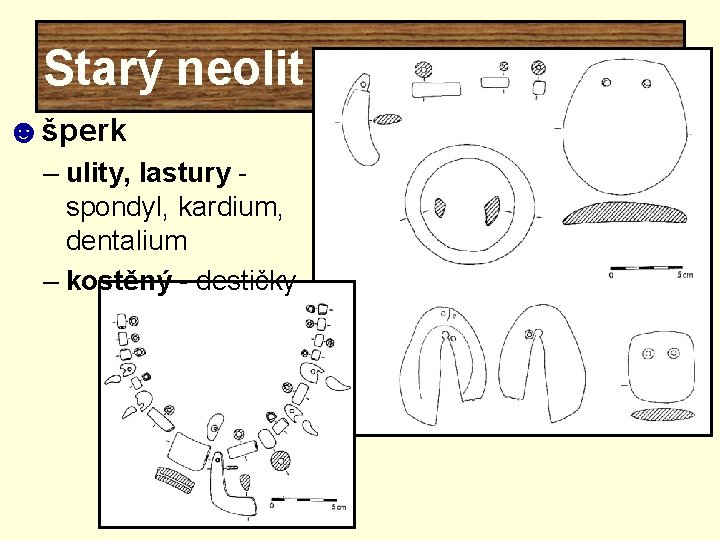 Starý neolit ☻šperk – ulity, lastury spondyl, kardium, dentalium – kostěný - destičky 