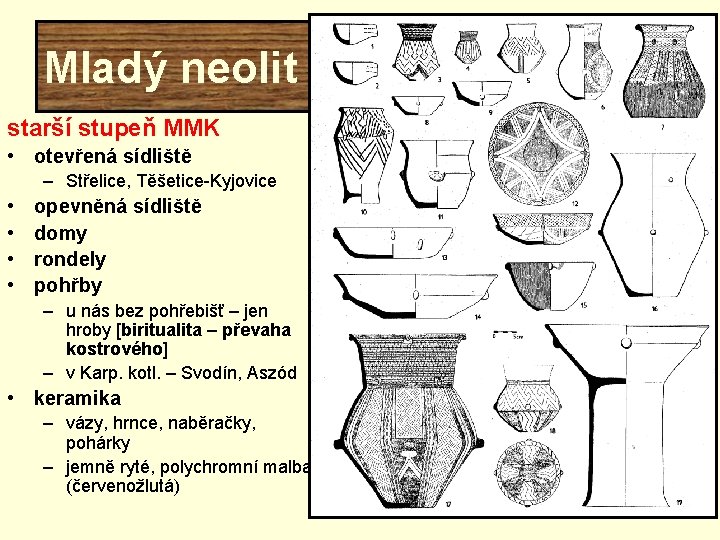 Mladý neolit starší stupeň MMK • otevřená sídliště – Střelice, Těšetice-Kyjovice • • opevněná