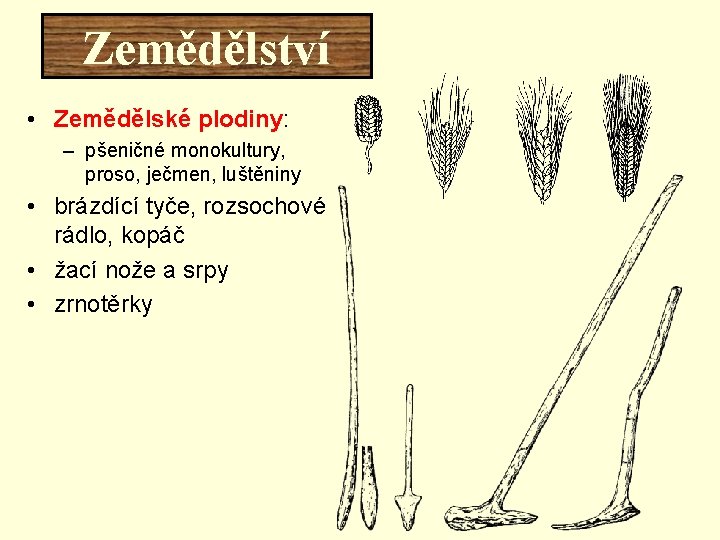 Zemědělství • Zemědělské plodiny: – pšeničné monokultury, proso, ječmen, luštěniny • brázdící tyče, rozsochové