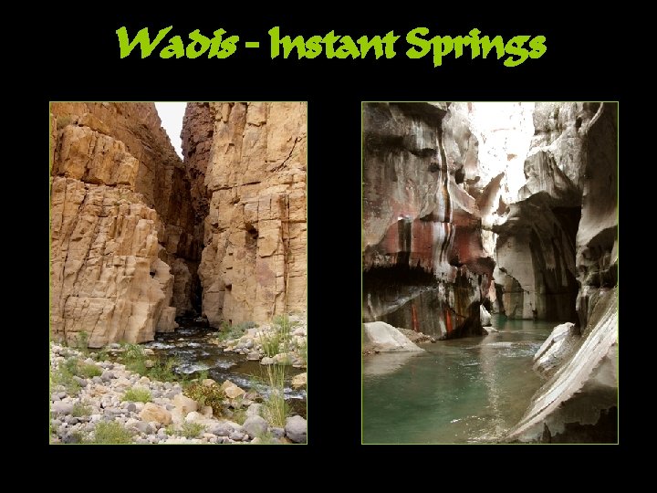 Wadis – Instant Springs 