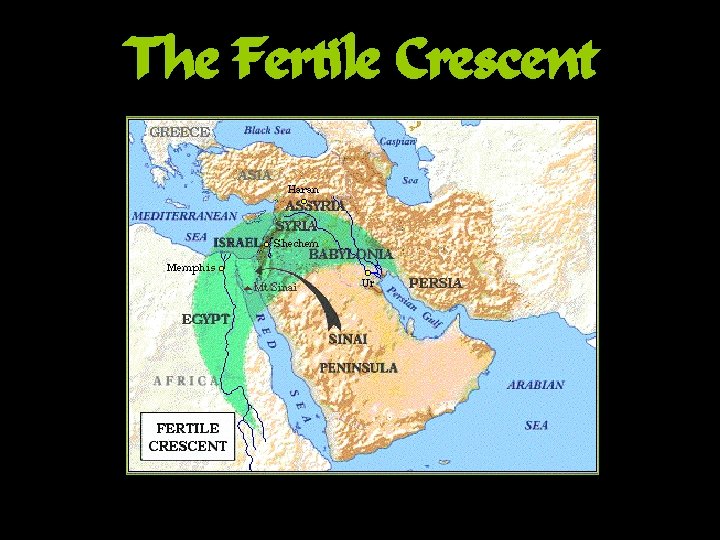 The Fertile Crescent 