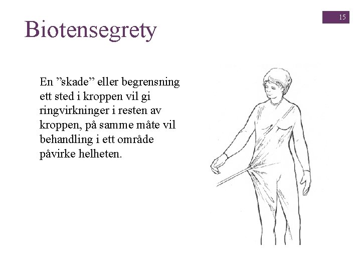 Biotensegrety En ”skade” eller begrensning ett sted i kroppen vil gi ringvirkninger i resten