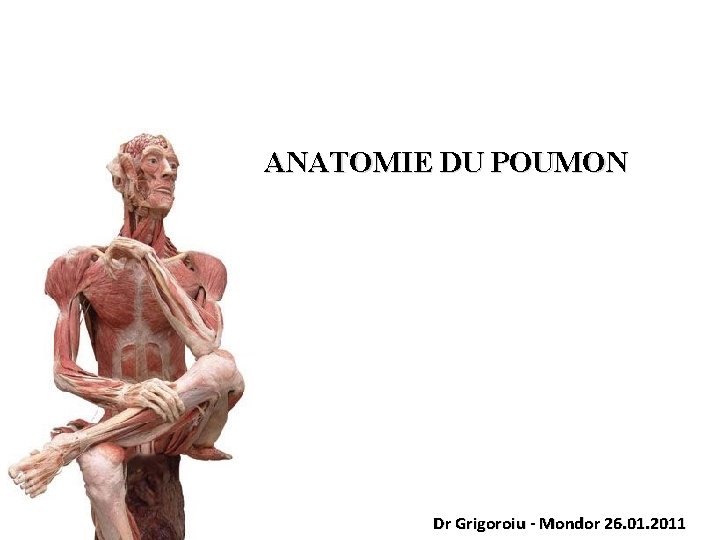 ANATOMIE DU POUMON Dr Grigoroiu - Mondor 26. 01. 2011 