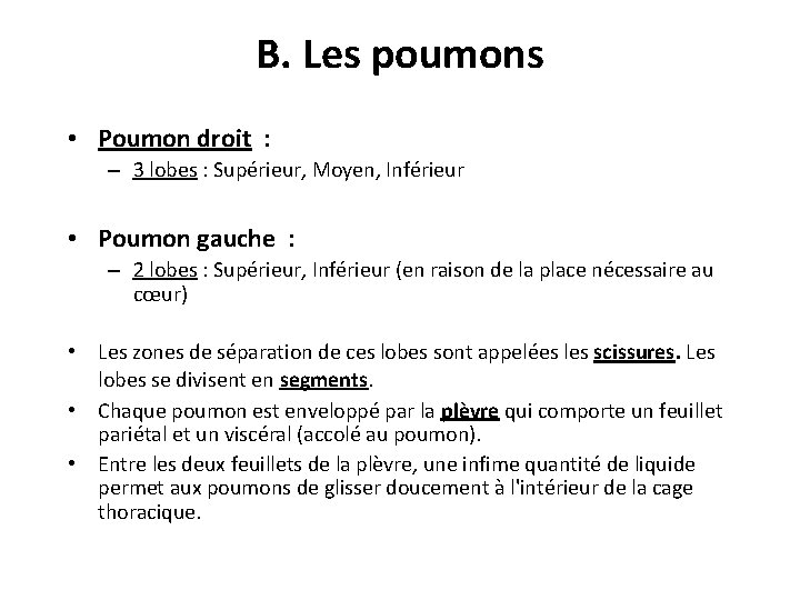 B. Les poumons • Poumon droit : – 3 lobes : Supérieur, Moyen, Inférieur