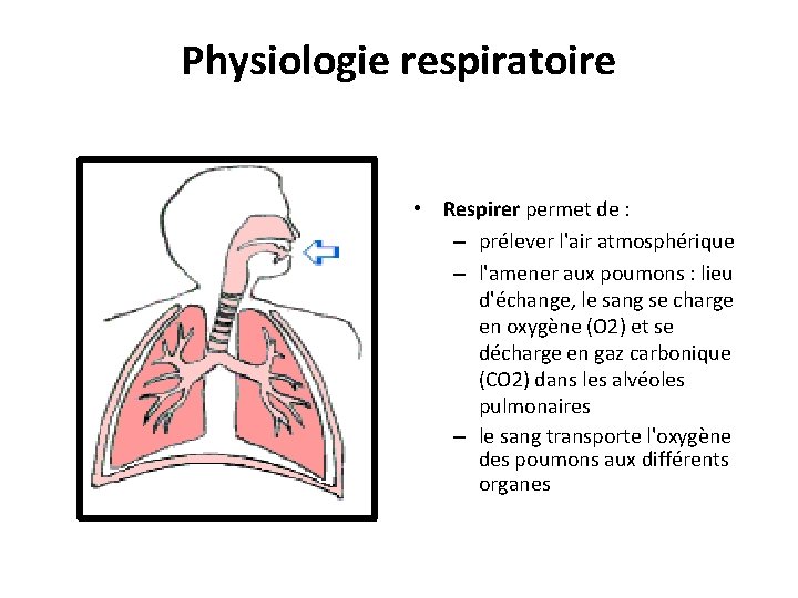 Physiologie respiratoire • Respirer permet de : – prélever l'air atmosphérique – l'amener aux Physiologie respiratoire • Respirer permet de : – prélever l'air atmosphérique – l'amener aux