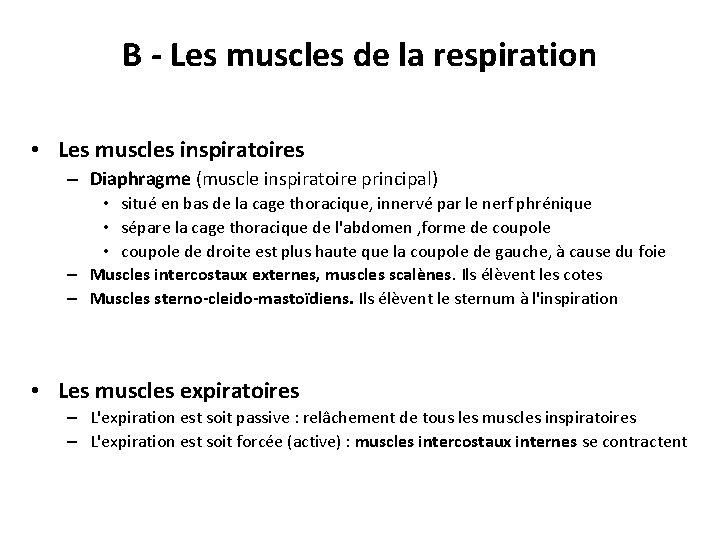 B - Les muscles de la respiration • Les muscles inspiratoires – Diaphragme (muscle