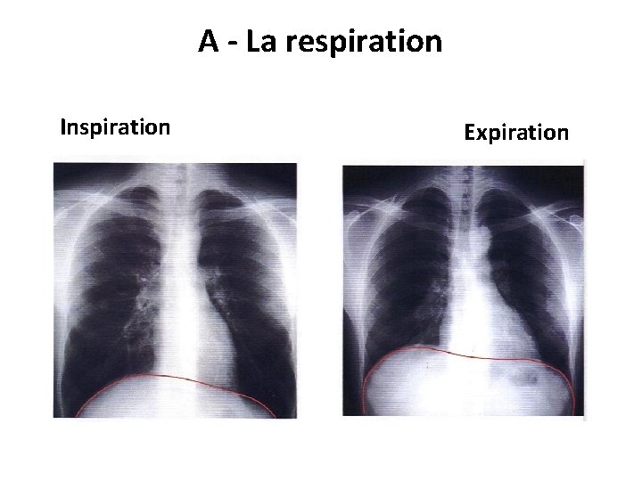 A - La respiration Inspiration Expiration 