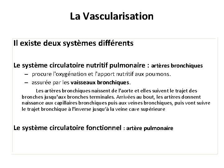 La Vascularisation Il existe deux systèmes différents Le système circulatoire nutritif pulmonaire : artères