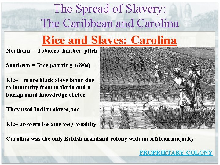 The Spread of Slavery: The Caribbean and Carolina Rice and Slaves: Carolina Northern =