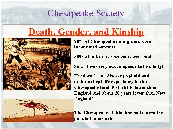 Chesapeake Society Death, Gender, and Kinship 90% of Chesapeake immigrants were indentured servants 80%