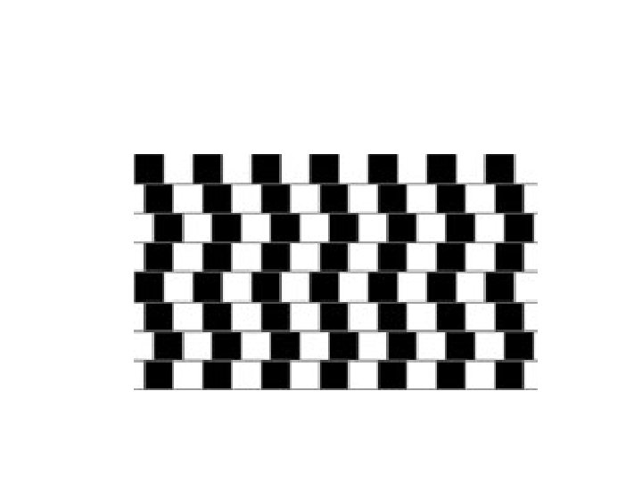 Estas líneas horizontales no parecen en absoluto paralelas, pero en realidad lo son. 