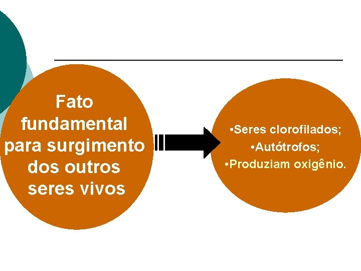 Fato fundamental para surgimento dos outros seres vivos • Seres clorofilados; • Autótrofos; • Fato fundamental para surgimento dos outros seres vivos • Seres clorofilados; • Autótrofos; •