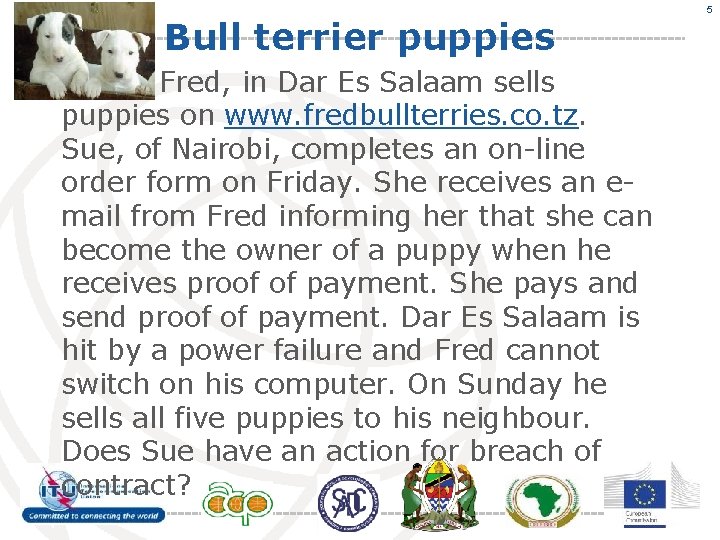 Bull terrier puppies Fred, in Dar Es Salaam sells puppies on www. fredbullterries. co.