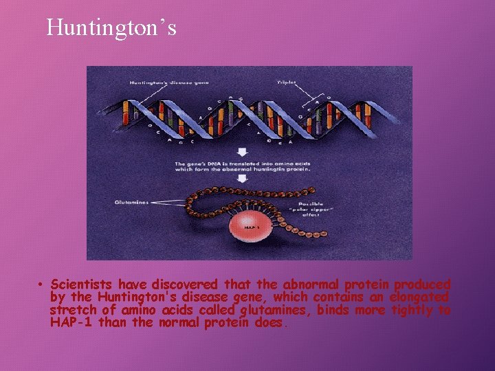Huntington’s • Scientists have discovered that the abnormal protein produced by the Huntington's disease