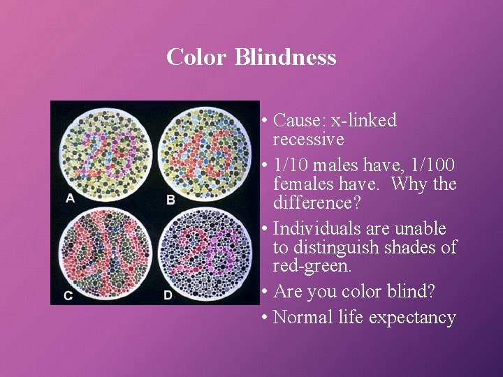 Color Blindness • Cause: x-linked recessive • 1/10 males have, 1/100 females have. Why