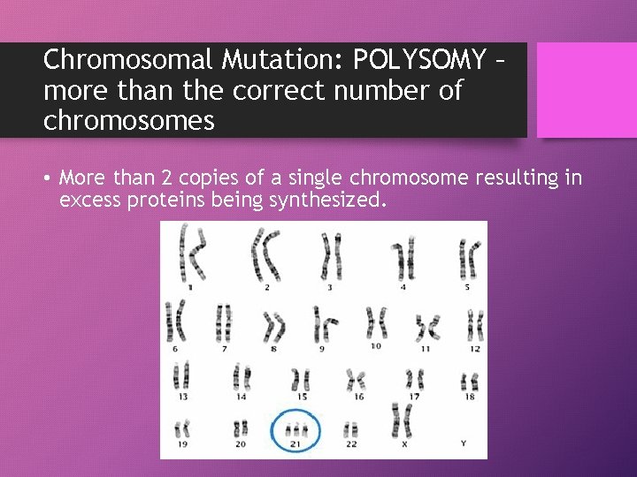 Chromosomal Mutation: POLYSOMY – more than the correct number of chromosomes • More than