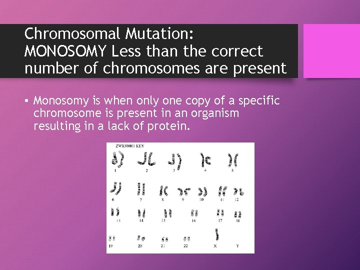 Chromosomal Mutation: MONOSOMY Less than the correct number of chromosomes are present • Monosomy