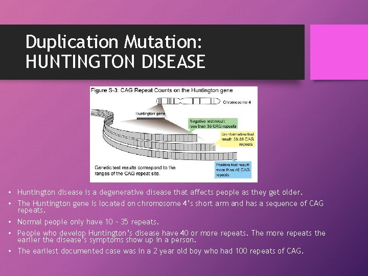 Duplication Mutation: HUNTINGTON DISEASE • Huntington disease is a degenerative disease that affects people