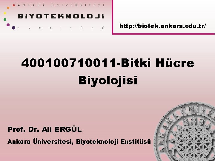 http: //biotek. ankara. edu. tr/ 400100710011 -Bitki Hücre Biyolojisi Prof. Dr. Ali ERGÜL Ankara
