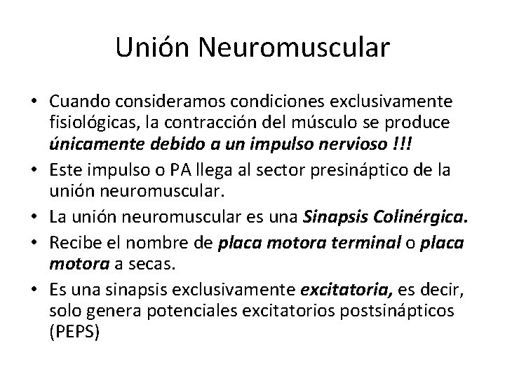 Unión Neuromuscular • Cuando consideramos condiciones exclusivamente fisiológicas, la contracción del músculo se produce