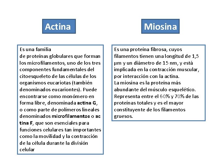 Actina Es una familia de proteínas globulares que forman los microfilamentos, uno de los