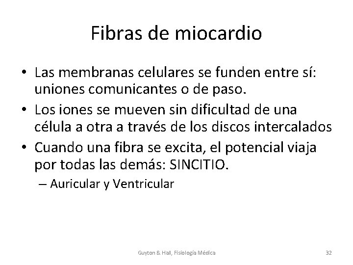 Fibras de miocardio • Las membranas celulares se funden entre sí: uniones comunicantes o
