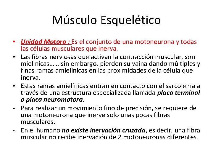 Músculo Esquelético • Unidad Motora : Es el conjunto de una motoneurona y todas