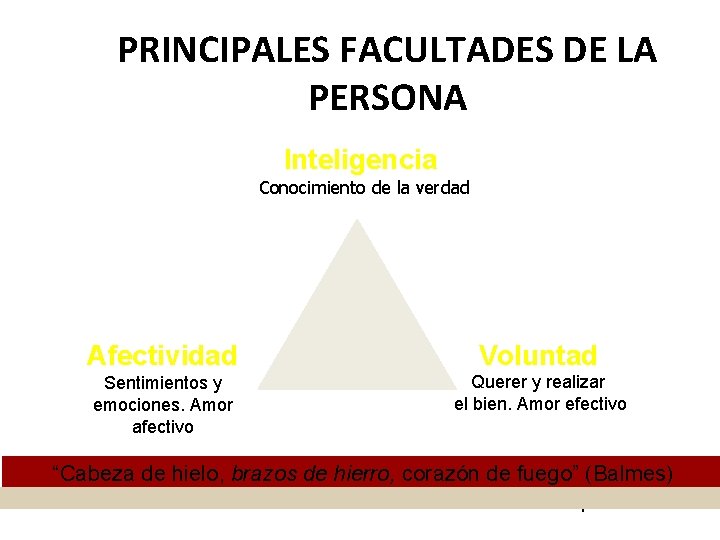PRINCIPALES FACULTADES DE LA PERSONA Inteligencia Conocimiento de la verdad Afectividad Voluntad Sentimientos y PRINCIPALES FACULTADES DE LA PERSONA Inteligencia Conocimiento de la verdad Afectividad Voluntad Sentimientos y