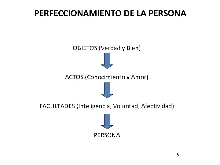 PERFECCIONAMIENTO DE LA PERSONA OBJETOS (Verdad y Bien) ACTOS (Conocimiento y Amor) FACULTADES (Inteligencia, PERFECCIONAMIENTO DE LA PERSONA OBJETOS (Verdad y Bien) ACTOS (Conocimiento y Amor) FACULTADES (Inteligencia,