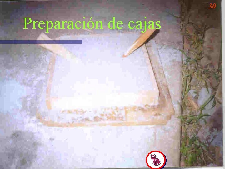 30 Preparación de cajas 