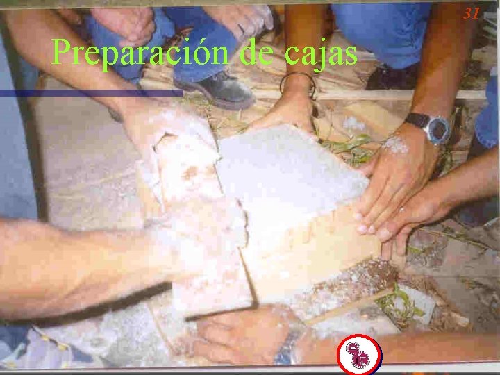 31 Preparación de cajas 