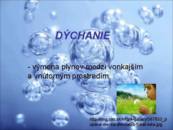 DÝCHANIE - výmena plynov medzi vonkajším a vnútorným prostredím http: //img. cas. sk/img/4/gallery/367833_p upava-dievcatko-fukat-luka.