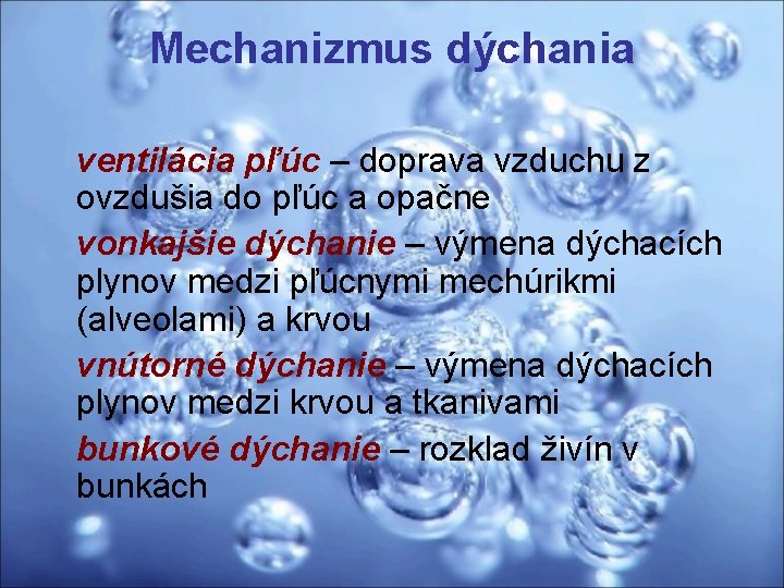 Mechanizmus dýchania ventilácia pľúc – doprava vzduchu z ovzdušia do pľúc a opačne vonkajšie