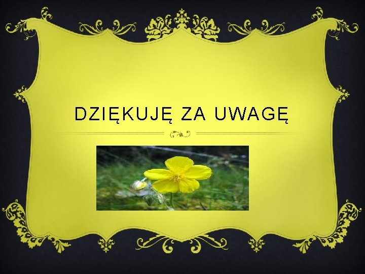 DZIĘKUJĘ ZA UWAGĘ 