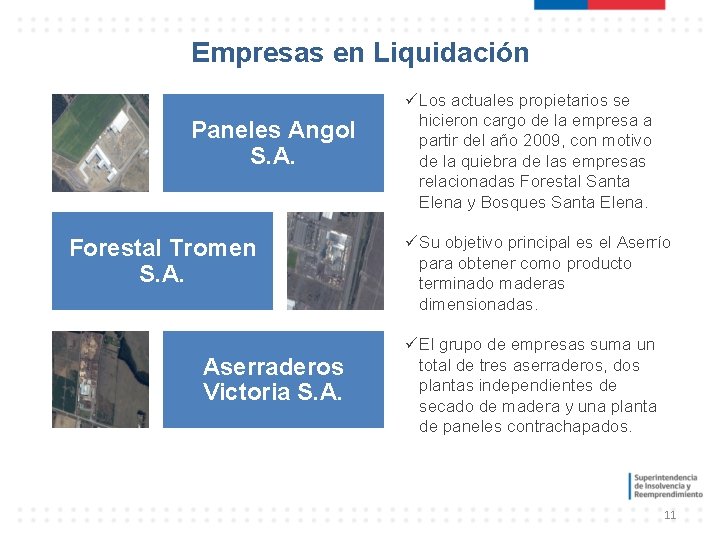 Empresas en Liquidación Paneles Angol S. A. Forestal Tromen S. A. Aserraderos Victoria S. Empresas en Liquidación Paneles Angol S. A. Forestal Tromen S. A. Aserraderos Victoria S.