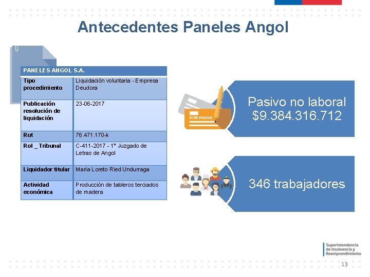 Antecedentes Paneles Angol PANELES ANGOL S. A. Tipo procedimiento Liquidación voluntaria - Empresa Deudora Antecedentes Paneles Angol PANELES ANGOL S. A. Tipo procedimiento Liquidación voluntaria - Empresa Deudora