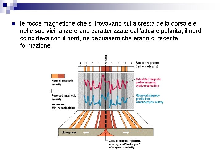 n le rocce magnetiche si trovavano sulla cresta della dorsale e nelle sue vicinanze