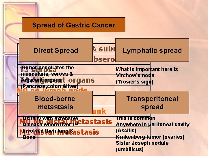 Spread Stagingof of. Gastric gastric Cancer cancer T 1 lamina propria & submucosa Direct