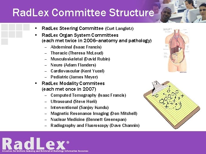 Rad. Lex Committee Structure • Rad. Lex Steering Committee (Curt Langlotz) • Rad. Lex