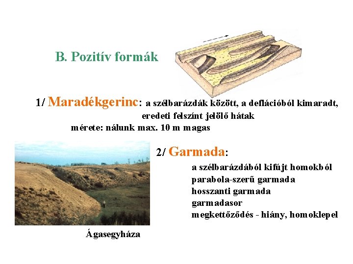 B. Pozitív formák 1/ Maradékgerinc: a szélbarázdák között, a deflációból kimaradt, eredeti felszínt jelölő