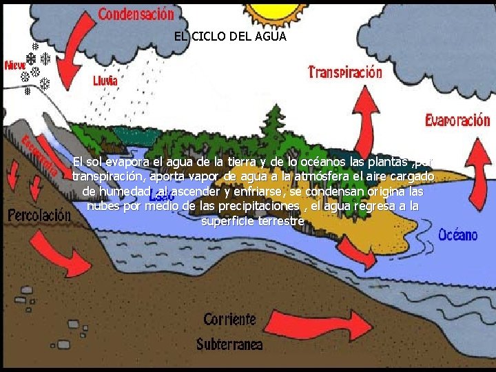  EL CICLO DEL AGUA El sol evapora el agua de la tierra y