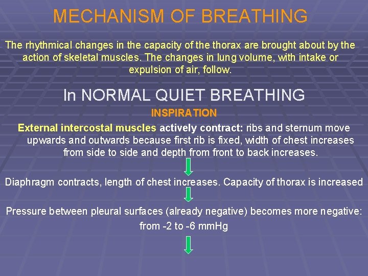 MECHANISM OF BREATHING The rhythmical changes in the capacity of the thorax are brought