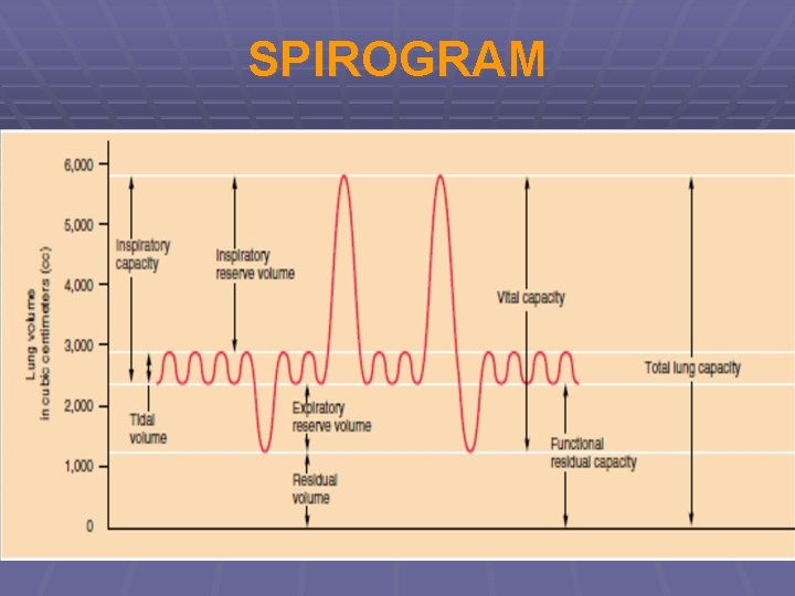 SPIROGRAM 