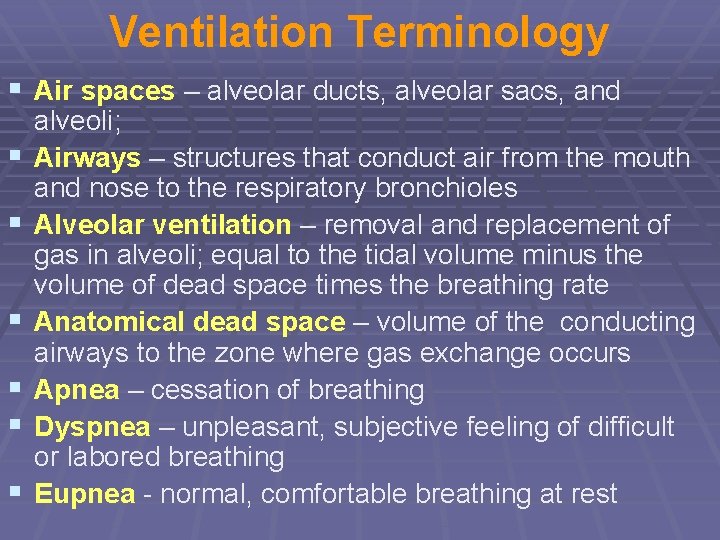 Ventilation Terminology § Air spaces – alveolar ducts, alveolar sacs, and § § §