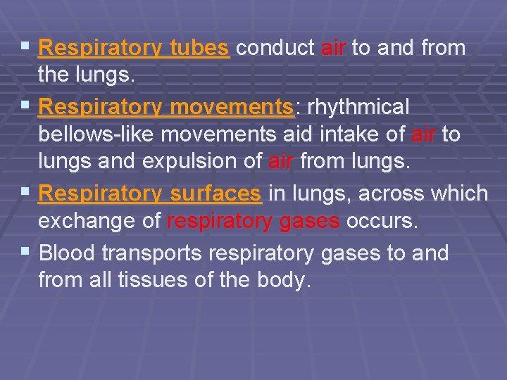 § Respiratory tubes conduct air to and from the lungs. § Respiratory movements: rhythmical