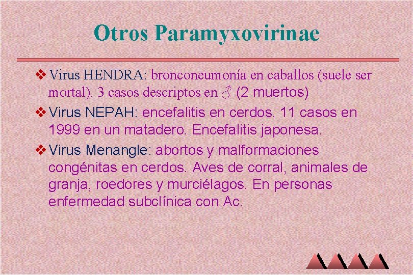 Otros Paramyxovirinae v Virus HENDRA: bronconeumonía en caballos (suele ser mortal). 3 casos descriptos