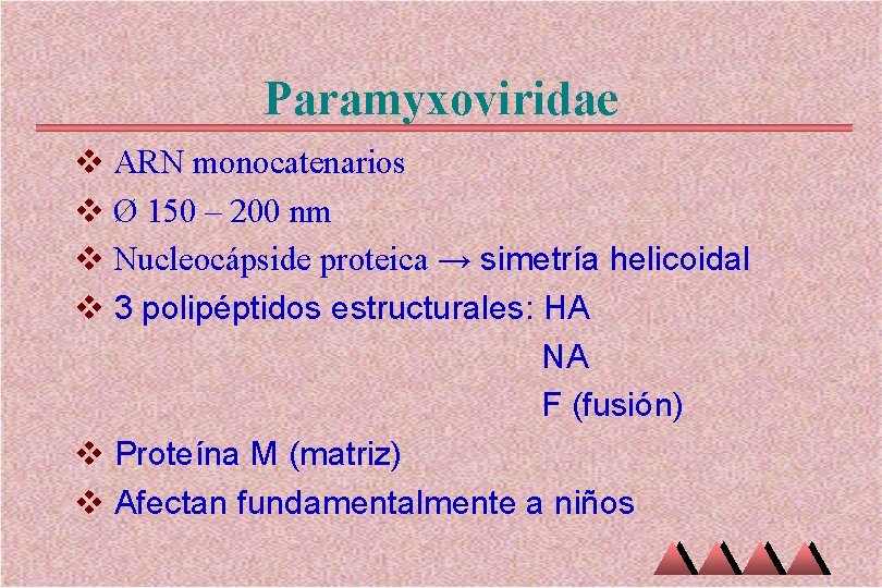 Paramyxoviridae v ARN monocatenarios v Ø 150 – 200 nm v Nucleocápside proteica →