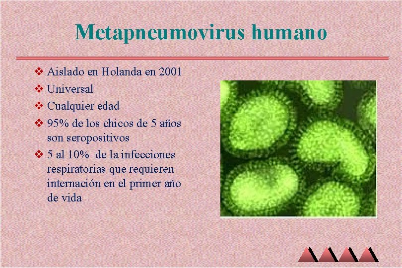 Metapneumovirus humano v Aislado en Holanda en 2001 v Universal v Cualquier edad v Metapneumovirus humano v Aislado en Holanda en 2001 v Universal v Cualquier edad v